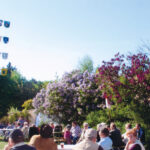 2011_Maibaum aufstellen